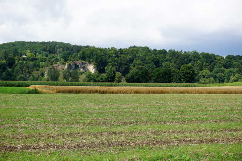 Wohnmobilstellplatz an der Hammermühle