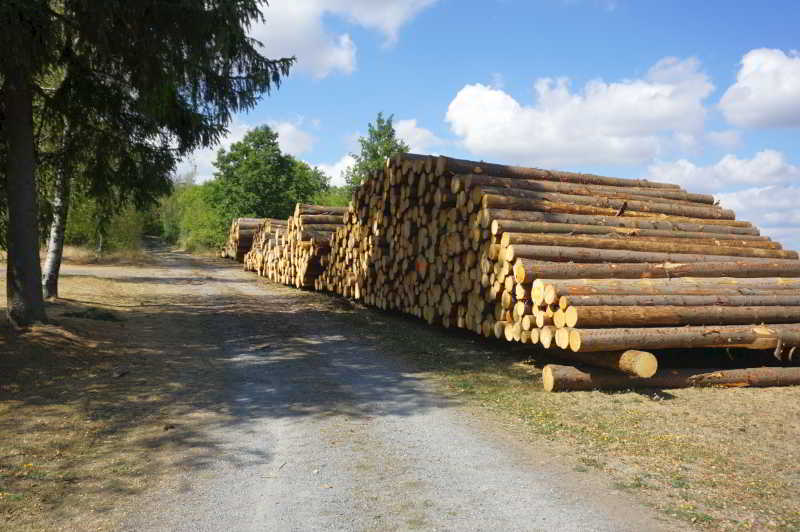 Wohnmobilstellplatz Festplatz am Haidberg