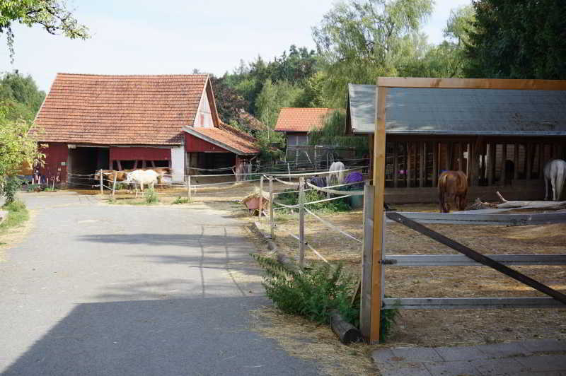 Wohnmobilstellplatz Lucky-Stable-Ranch