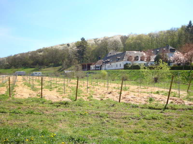 Wohnmobilstellplatz Weingut GF von Nell
