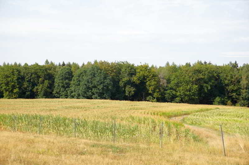 Wohnmobilstellplatz Lucky-Stable-Ranch