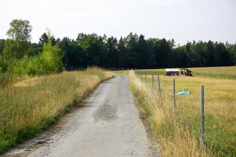 Wohnmobilstellplatz Lucky-Stable-Ranch