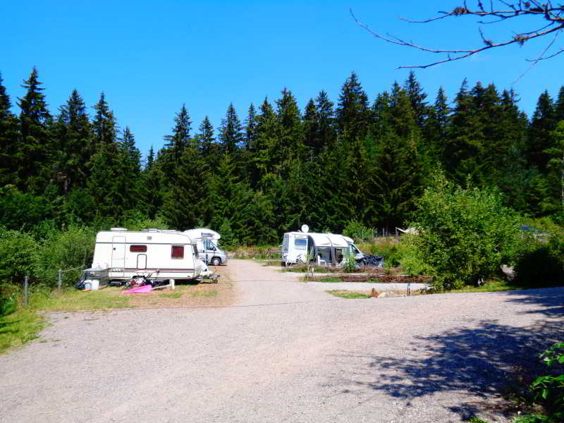 Campingplatz Lynx Camp