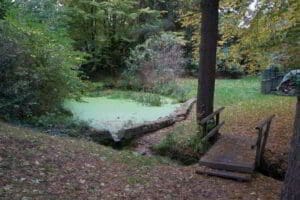 Wohnmobilstellplatz im Baumhof in Sprockhövel