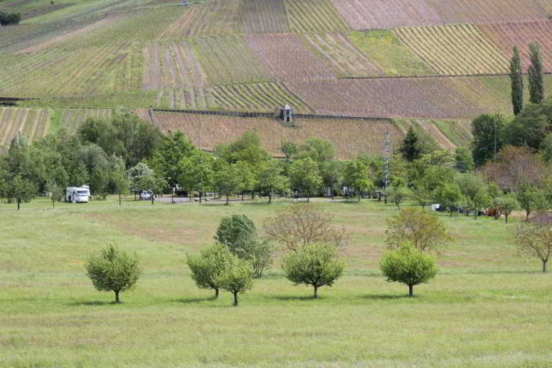 Wohnmobilplatz Veldenz