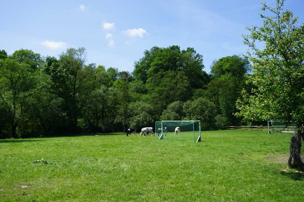 Wohnmobilstellplatz auf Monikas Ferienhof