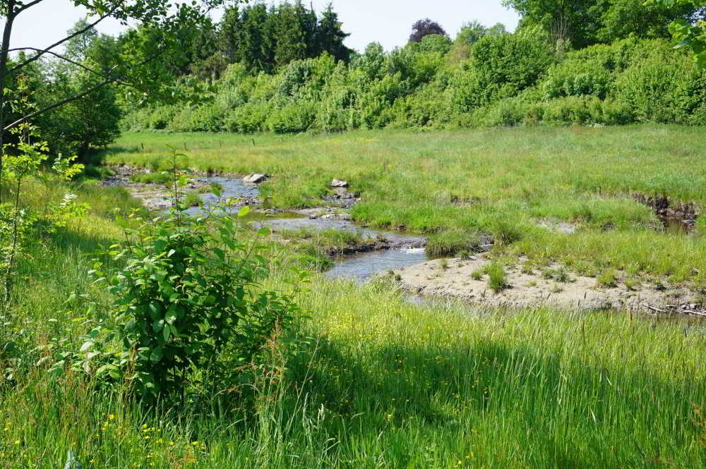Campingplatz Kallenhard