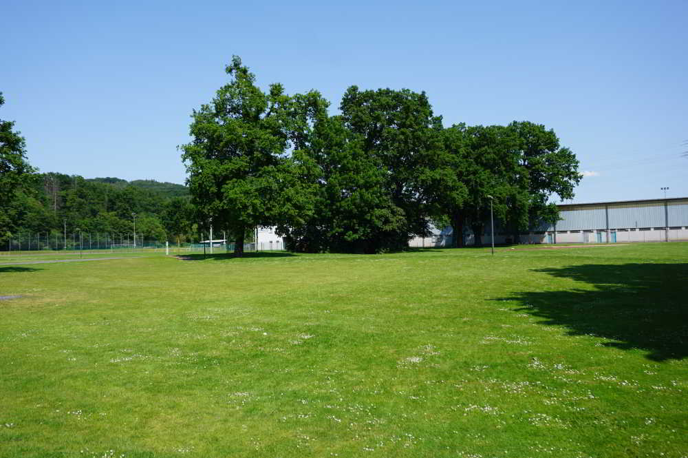 Wohnmobilstellplatz am Solepark Wohnmobilstellplatz am Solepark