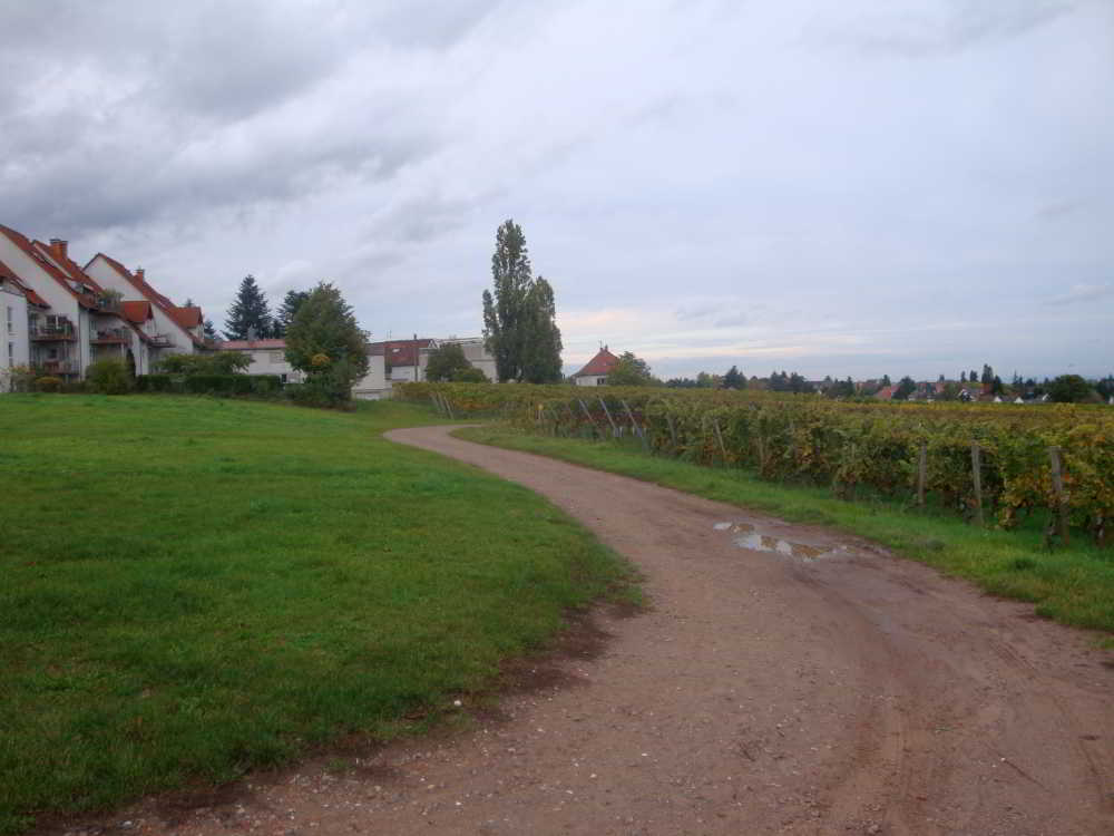 Wohnmobilstellplatz am Weingut Abel