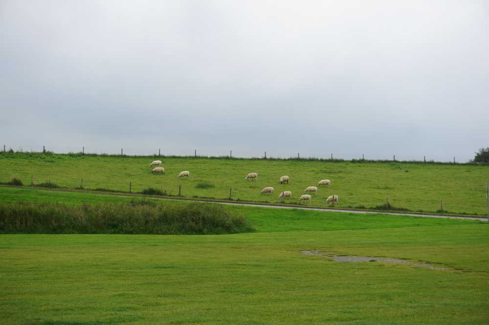 Wohnmobilstellplatz Nordseeblick in Dornum Wohnmobilstellplatz Nordseeblick in Dornum