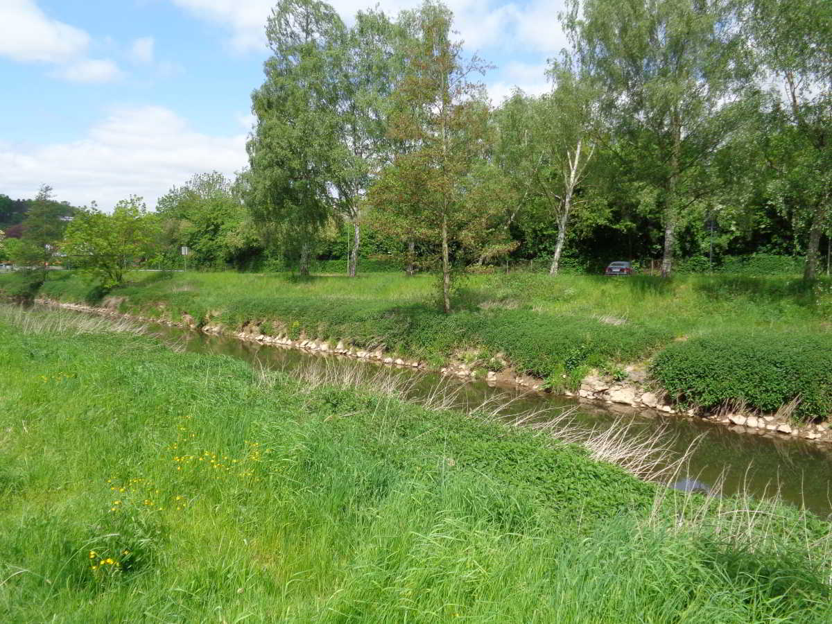 Wohnmobilstellplatz an der Schwalm in Schwalmstadt