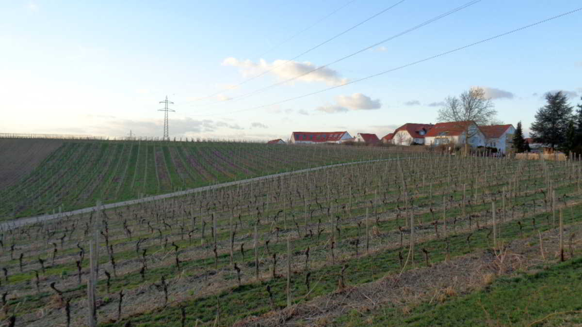 Wohnmobilstellplatz am Weingut Weinmann