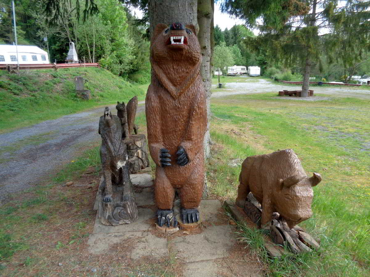 Campingplatz Waldcamp Meerbornsheide