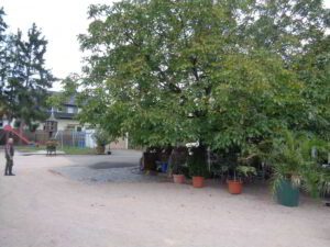 Wohnmobilstellplatz am Weingut Eiserhof Wohnmobilstellplatz am Weingut Eiserhof