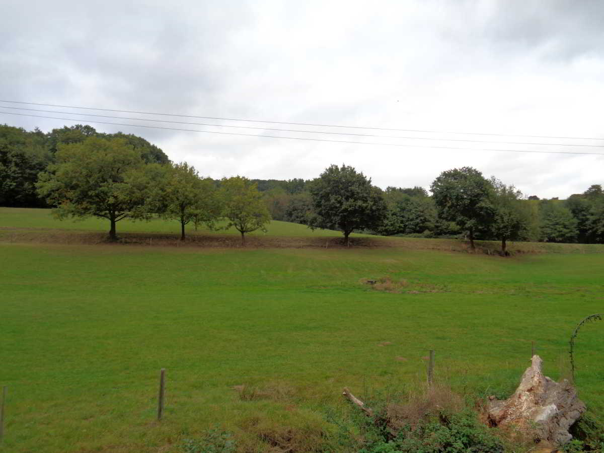 Wohnmobilstellplatz am Weingut Ostermühle