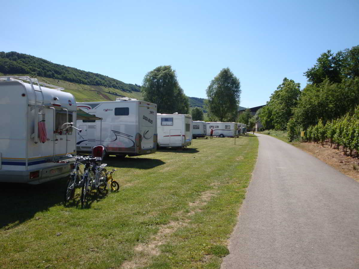 Wohnmobilstellplatz am Moselufer in Reil