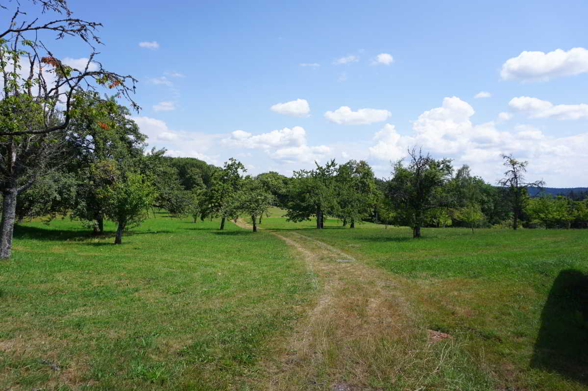 Wohnmobilstellplatz Hinterholzstube