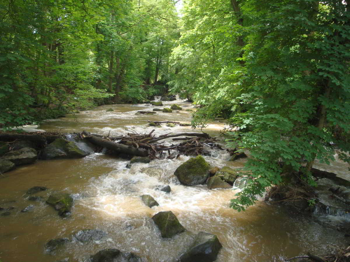 Wohnmobilstellplatz am Vulkanpark in Plaidt
