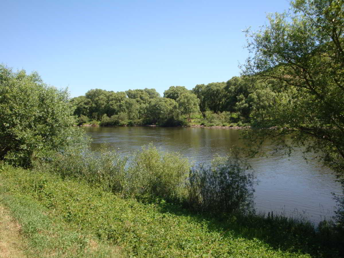 Wohnmobilstellplatz am Moselufer in Reil