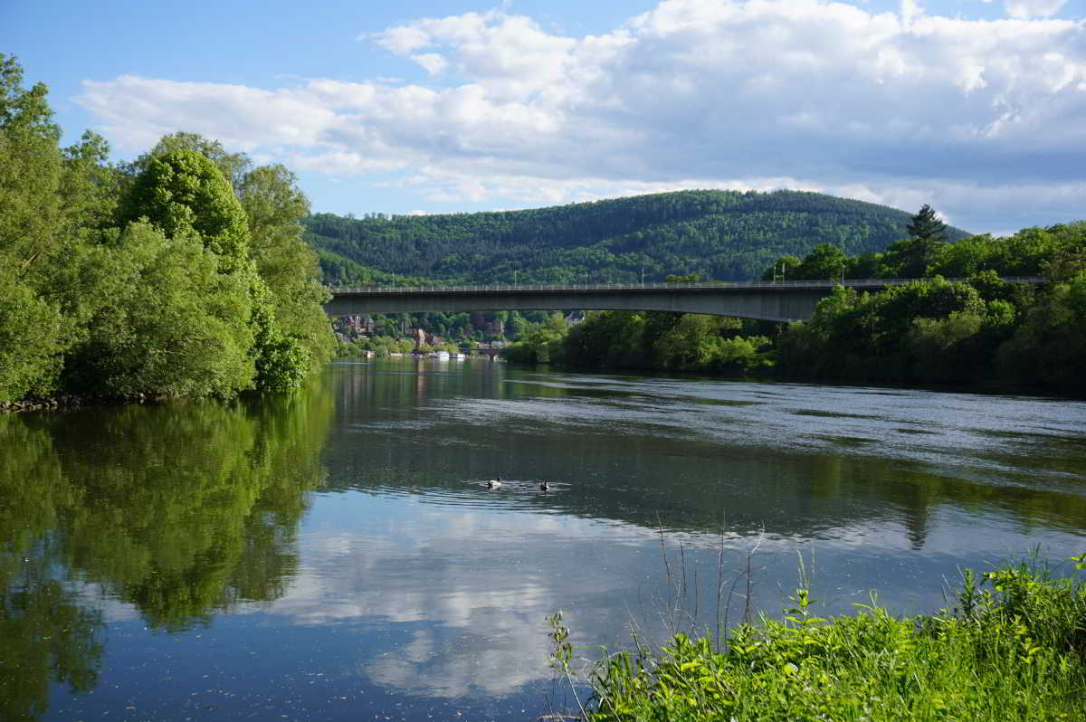 Wohnmobilstellplatz am Winzerfestplatz in Bürgstadt