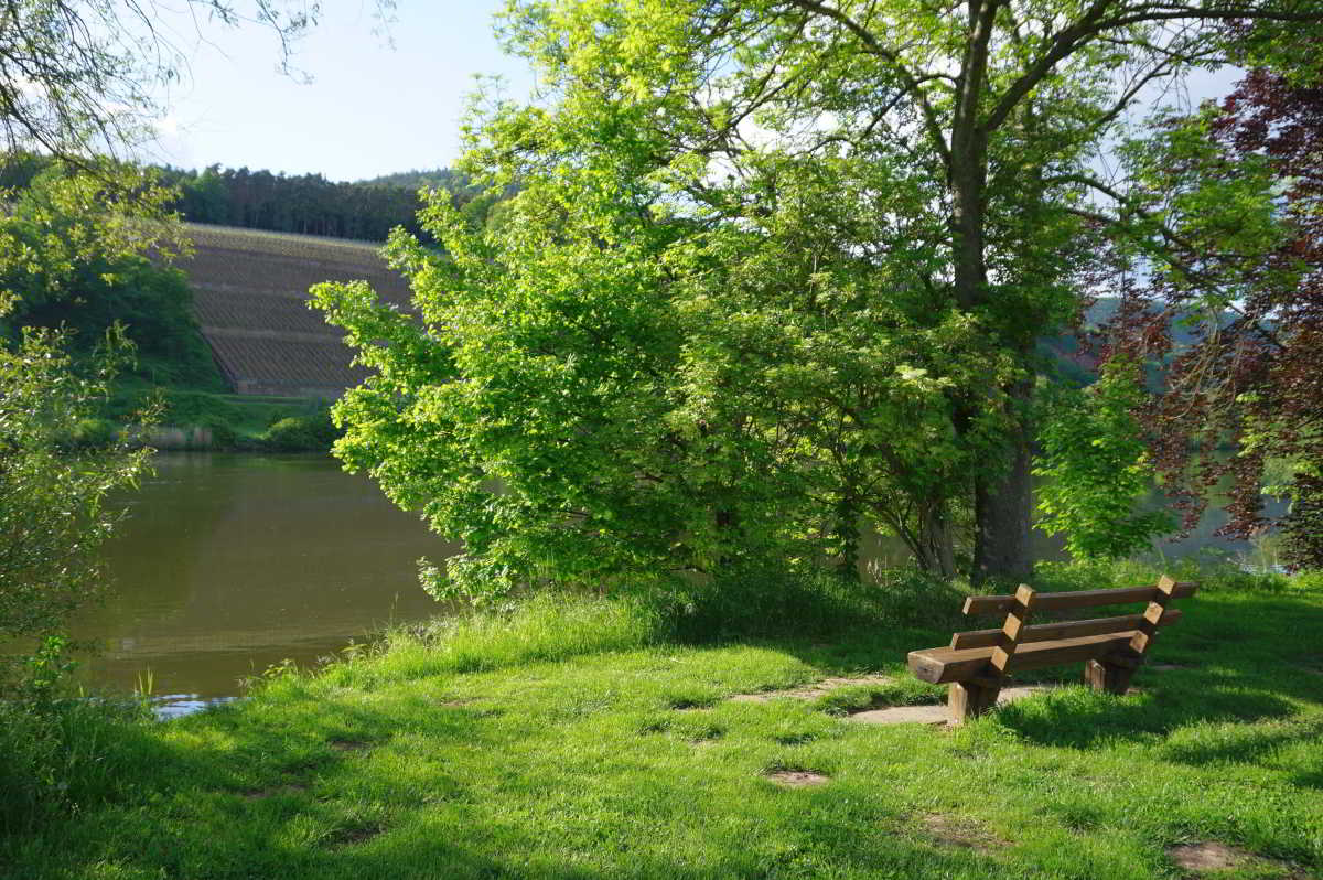 Wohnmobilstellplatz am Winzerfestplatz in Bürgstadt