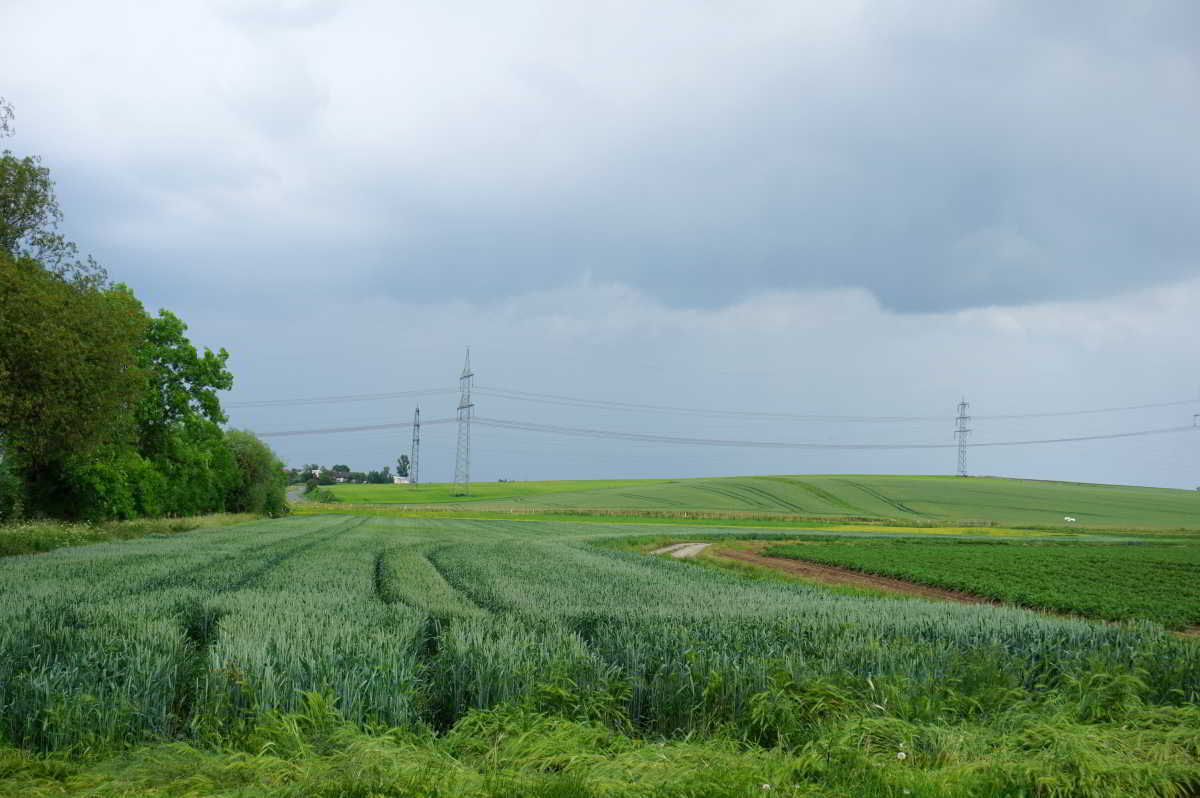 Wohnmobilstellplatz am Weingut Mohrenmühle