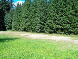 Wohnmobilstellplatz am Waldhotel Vogtland