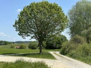 Wohnmobilpark Markt Wald Wohnmobilpark Markt Wald