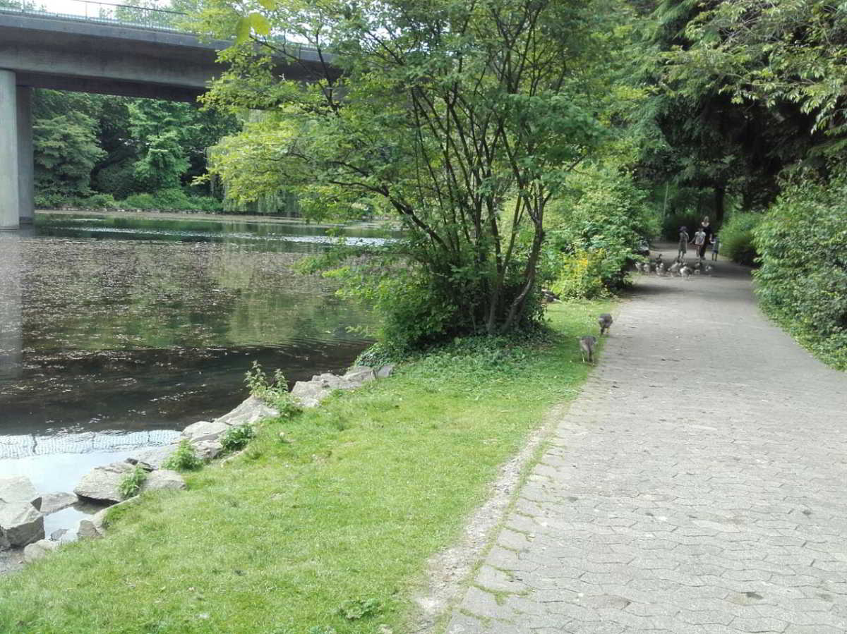 Wohnmobilstellplatz am Wiehlpark