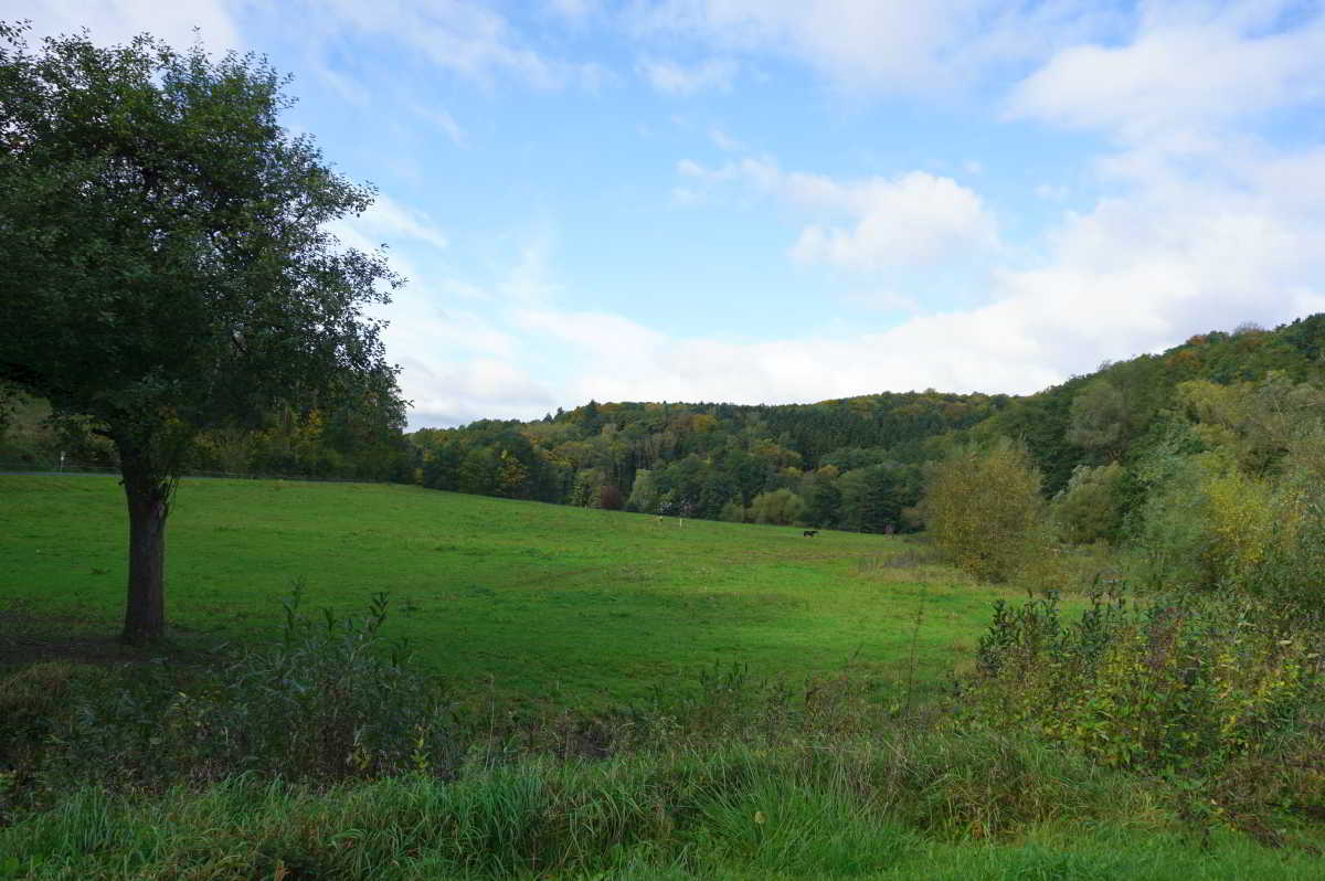 Wohnmobilstellplatz Amtsschreibersmühle