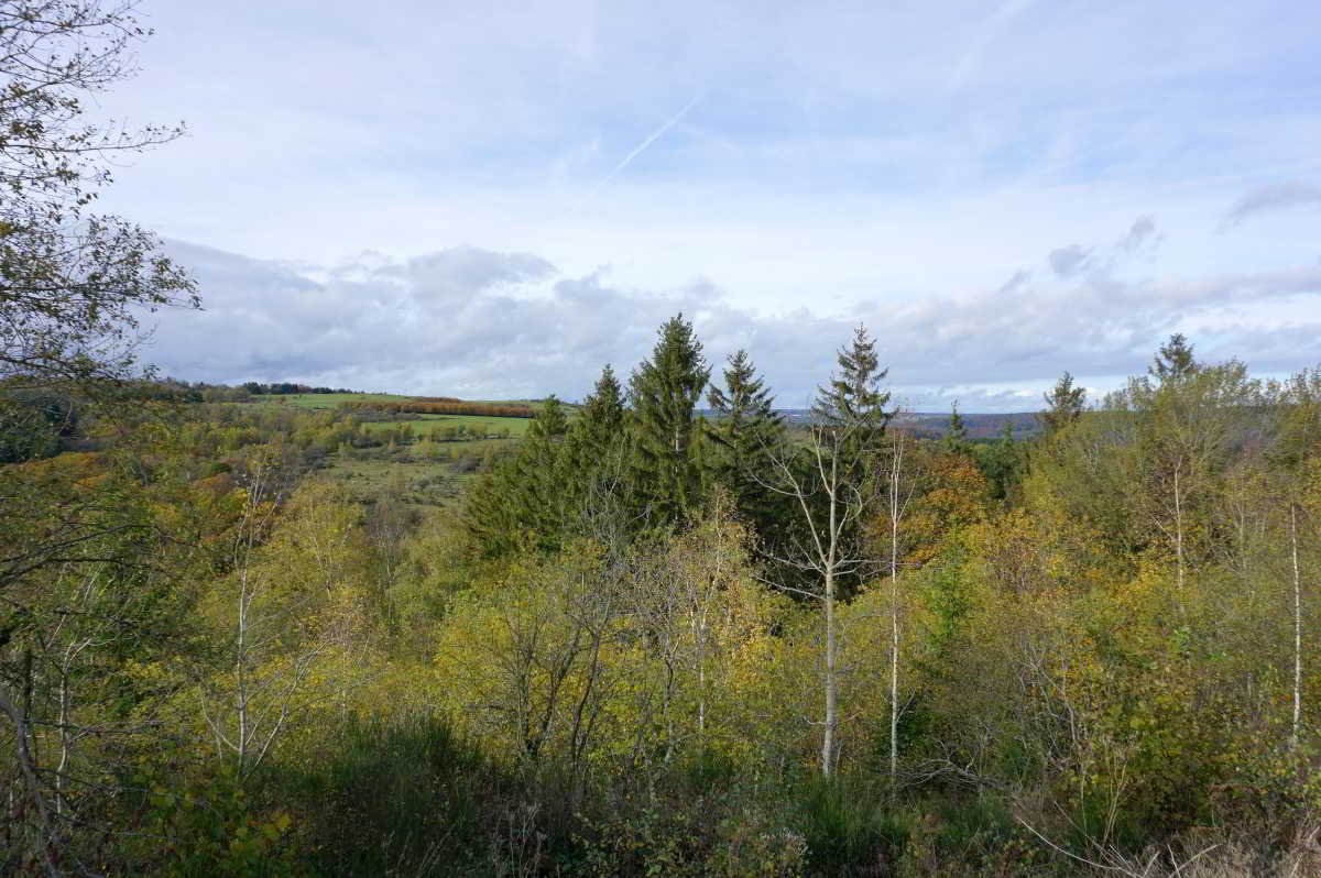 Wohnmobilstellplatz Eifel-Wohnmobilpark Vogelsang