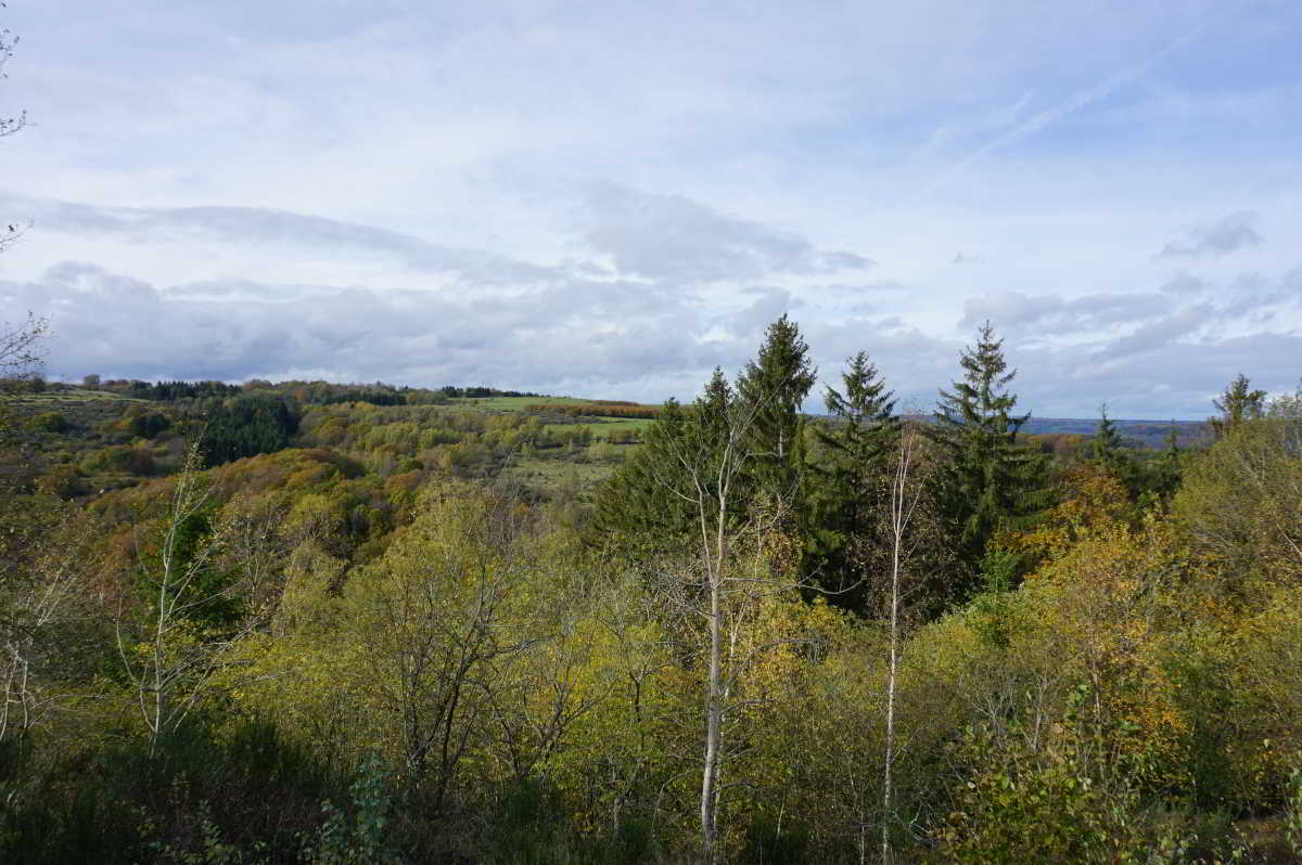 Wohnmobilstellplatz Eifel-Wohnmobilpark Vogelsang