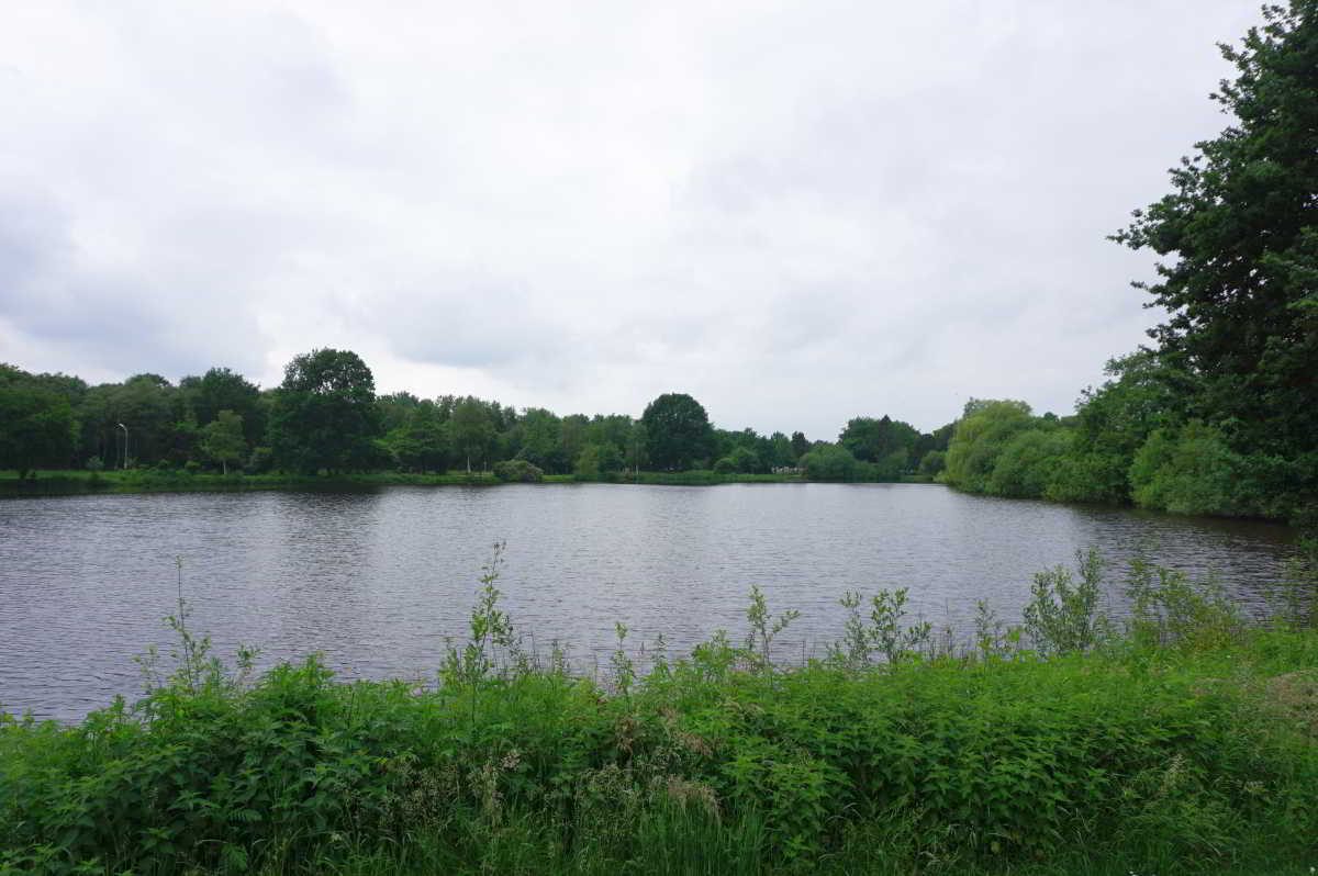 Schulsee in Twist