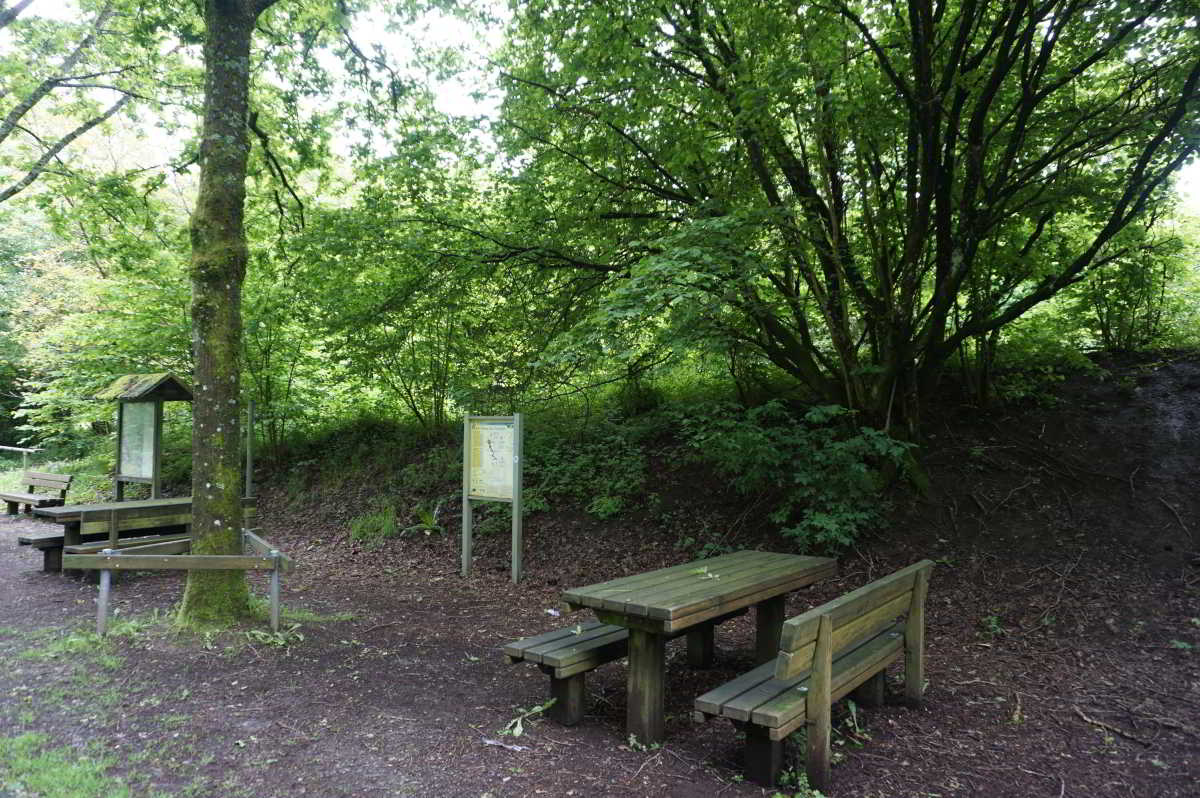 Wohnmobilpark am Lieserbogen in Daun