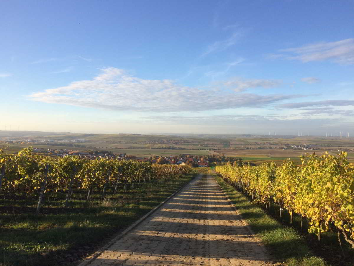 Wohnmobilstellplatz am Weingut Gustavshof