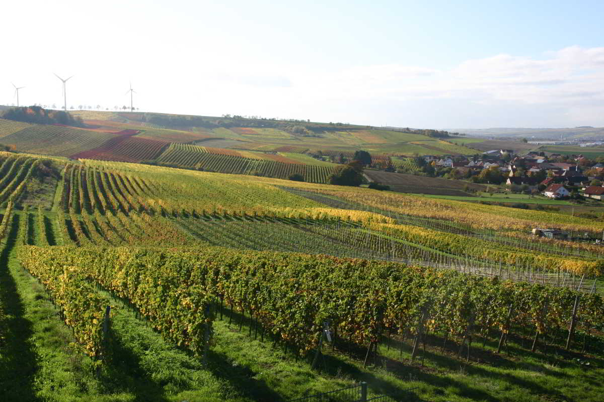 Wohnmobilstellplatz am Weingut Gustavshof