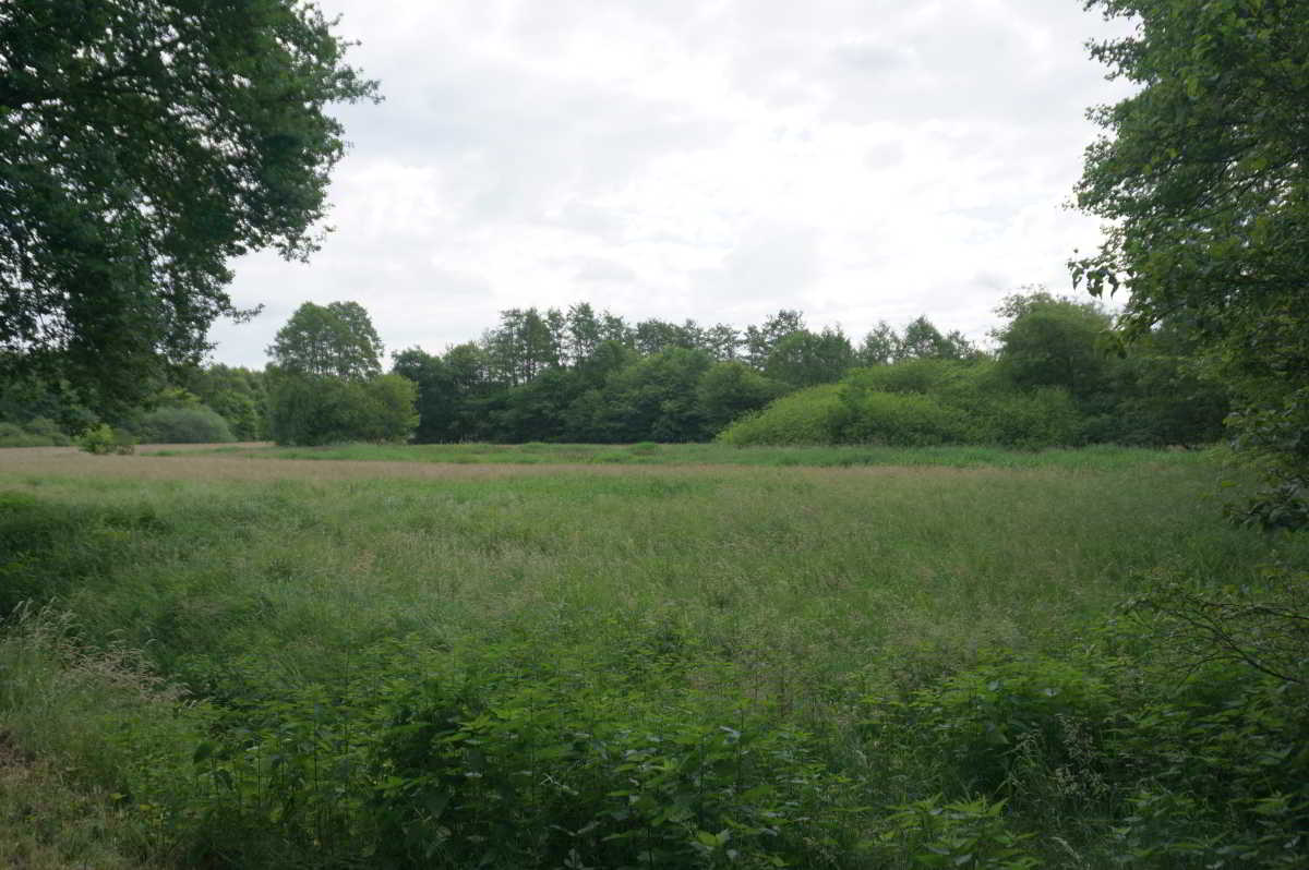 Wohnmobilstellplatz am Schützenplatz in Dörpen
