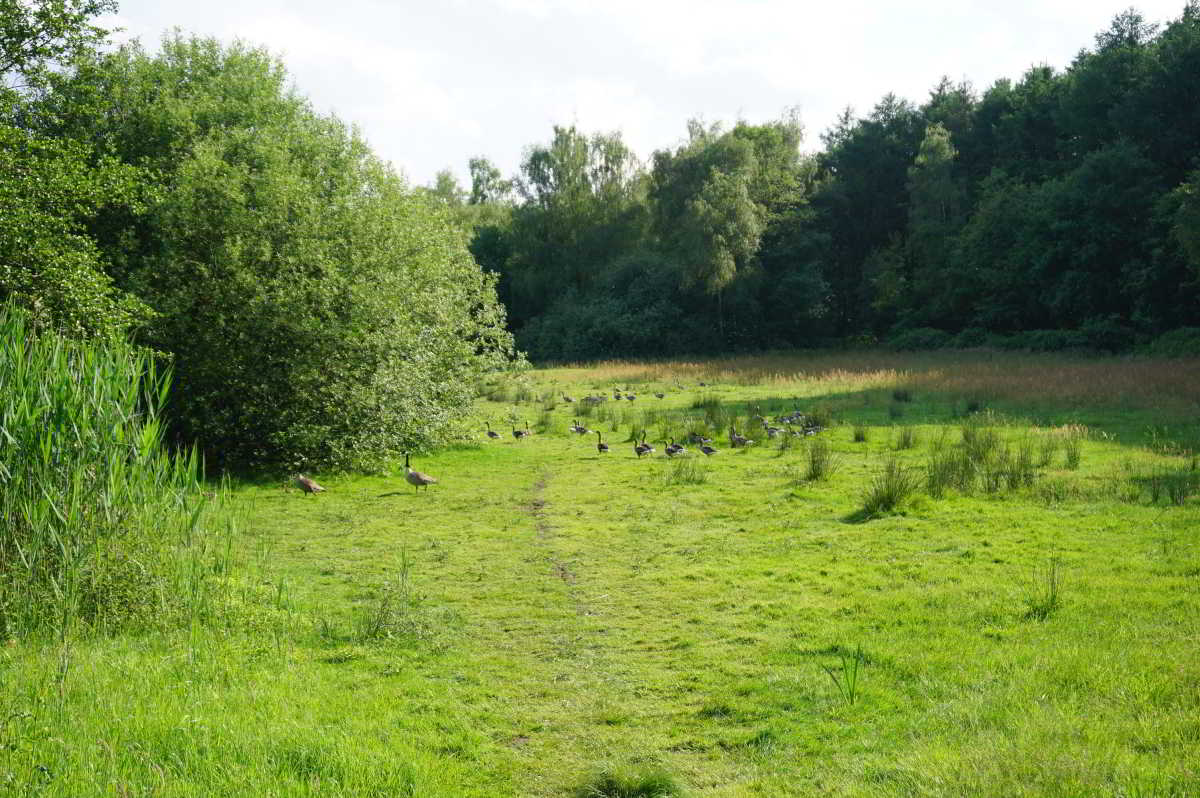 Familiencampingplatz Haselünne