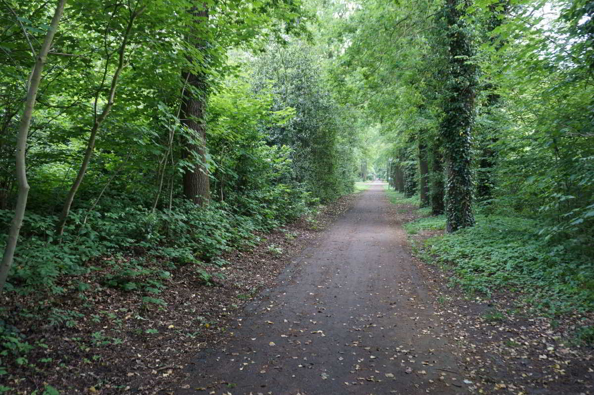 Stadtpark in Wietmarschen