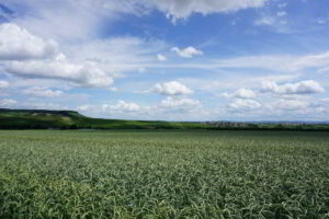 Wohnmobilstellplatz Panoramablick