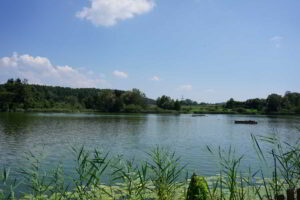 Wohnmobilstellplatz am Böhringer See Wohnmobilstellplatz am Böhringer See
