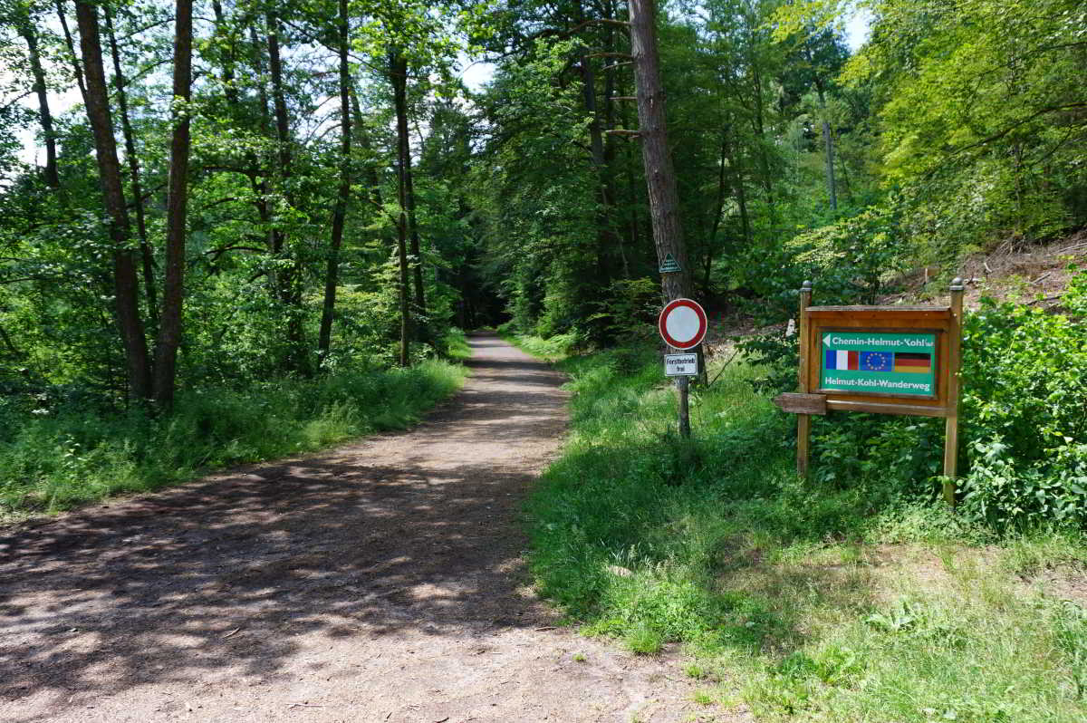 Wohnmobilstellplatz am Spiessweiher
