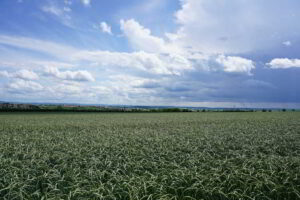 Wohnmobilstellplatz Panoramablick