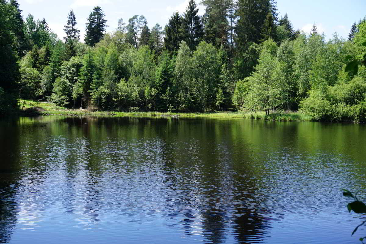 Wohnmobilstellplatz am Spiessweiher