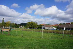 Wohnmobilstellplatz am Weingut Gruber