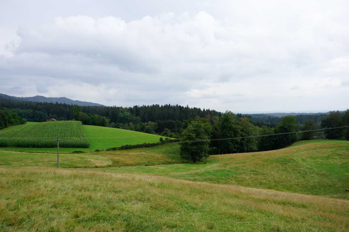 Wohnmobilstellplatz Wild-Berghof Bernried