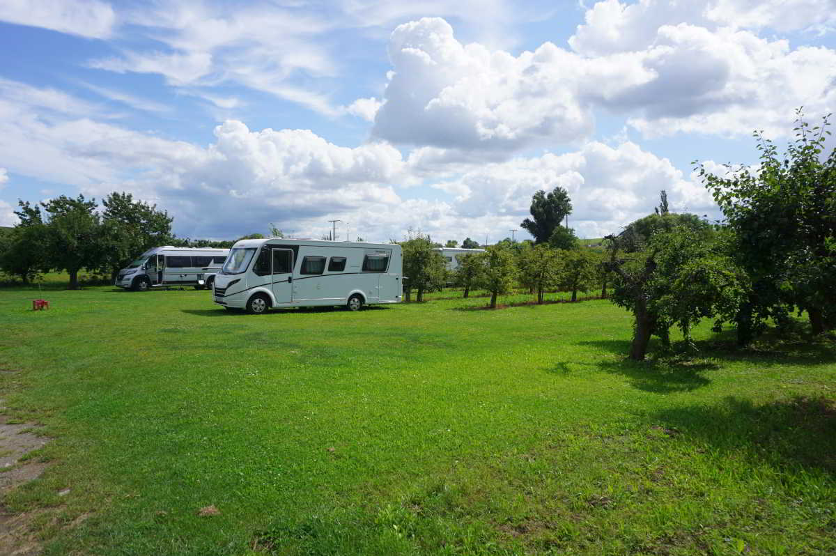 Wohnmobilstellplatz Weinbau Laudenbach