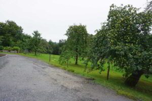 Wohnmobilstellplatz auf dem Ferienbauernhof Sieglinde