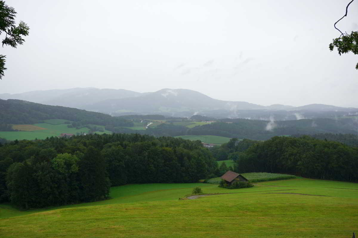 Bayerischen Wald