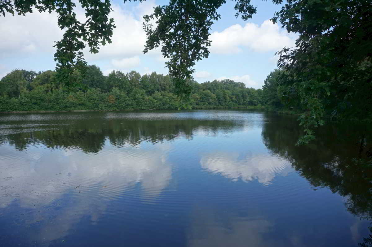 Wohnmobilstellplatz Marina Park Friesoythe